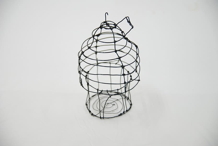 bird cage, art, molding, box, wire, indoors, no people, copy space