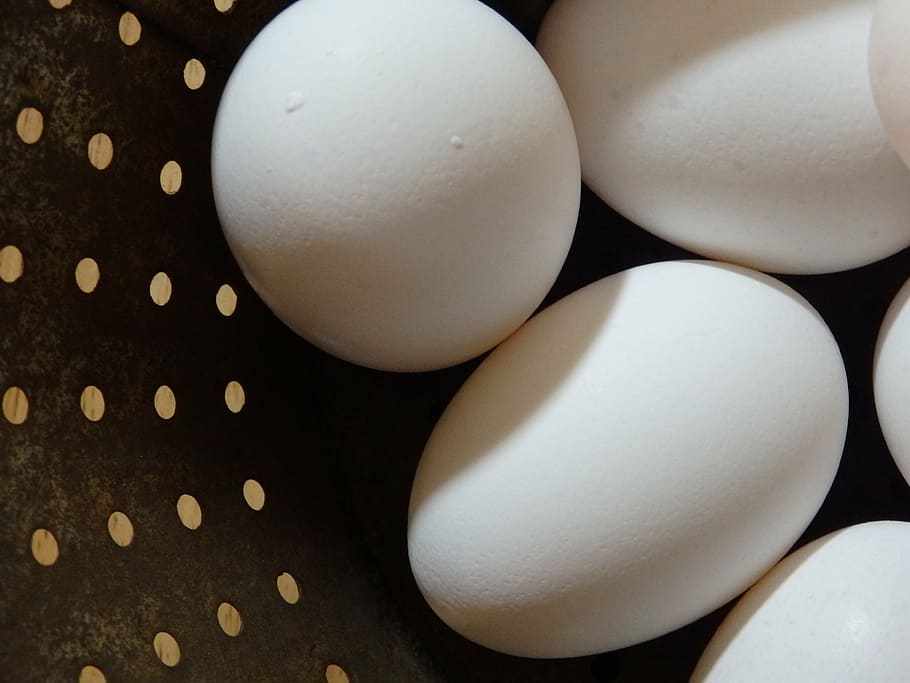 eggs, rustic, farming, boho, white color, studio shot, no people HD wallpaper