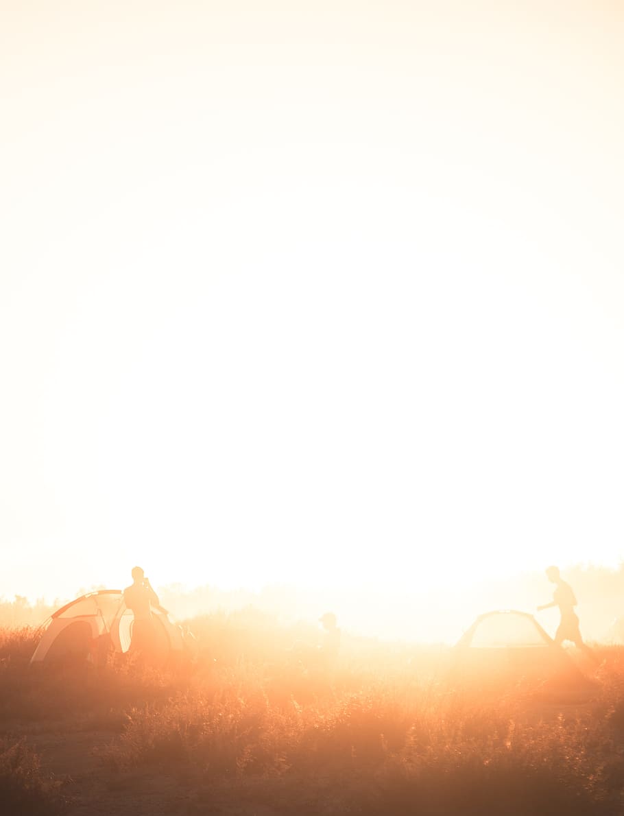 silhouette of man in brown field, Camp, vibes, outdoors, nature HD wallpaper