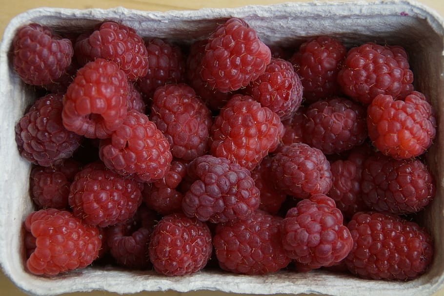 raspberries, shell, shopping, purchasing, berry red, vitamins HD wallpaper