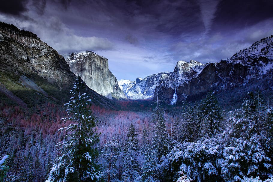 photo of mountains and trees, aerial photography of snow-covered forest HD wallpaper