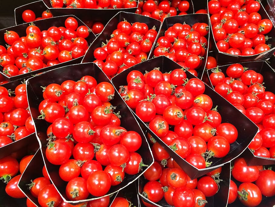mini tomato, orange, red, dish, vivid, vegetables, department HD wallpaper