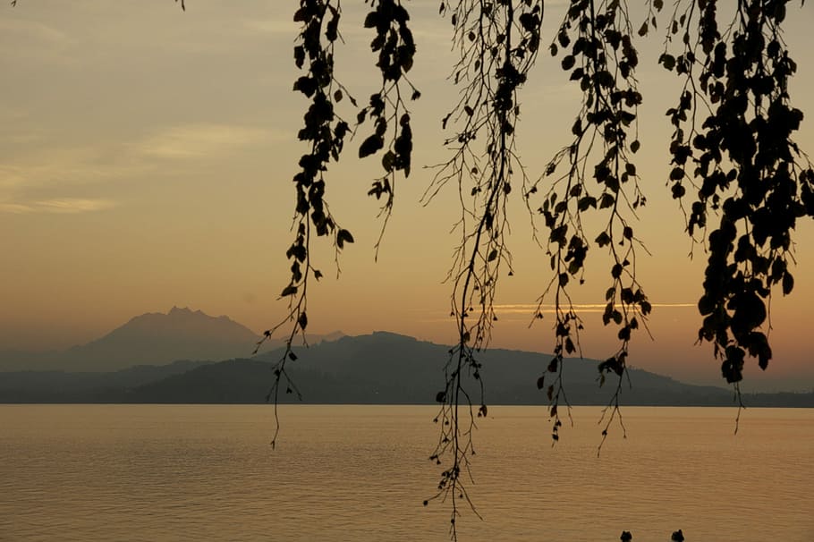 Branches, Sunset, Lake, Evening, Sky, evening sky, abendstimmung HD wallpaper
