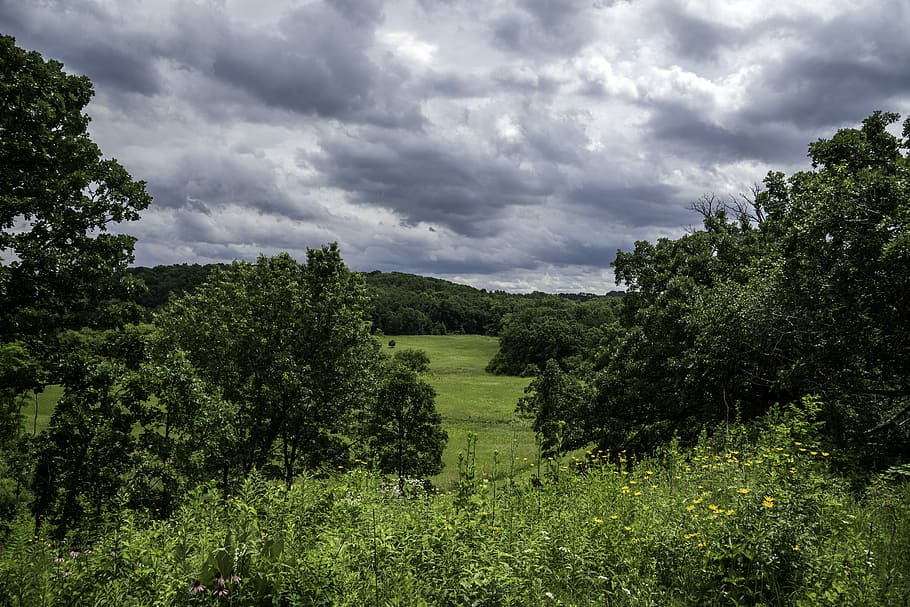 Heavy Clouds over the grassland and trees at Indian Lake County Park HD wallpaper