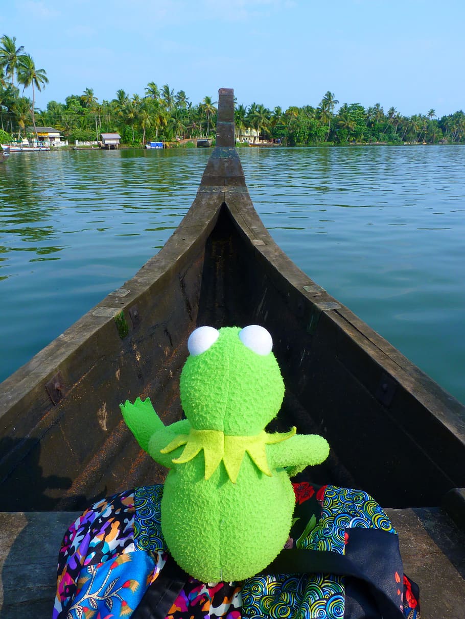 boot, go boating, water, backwaters, frog, kermit, nature, representation HD wallpaper