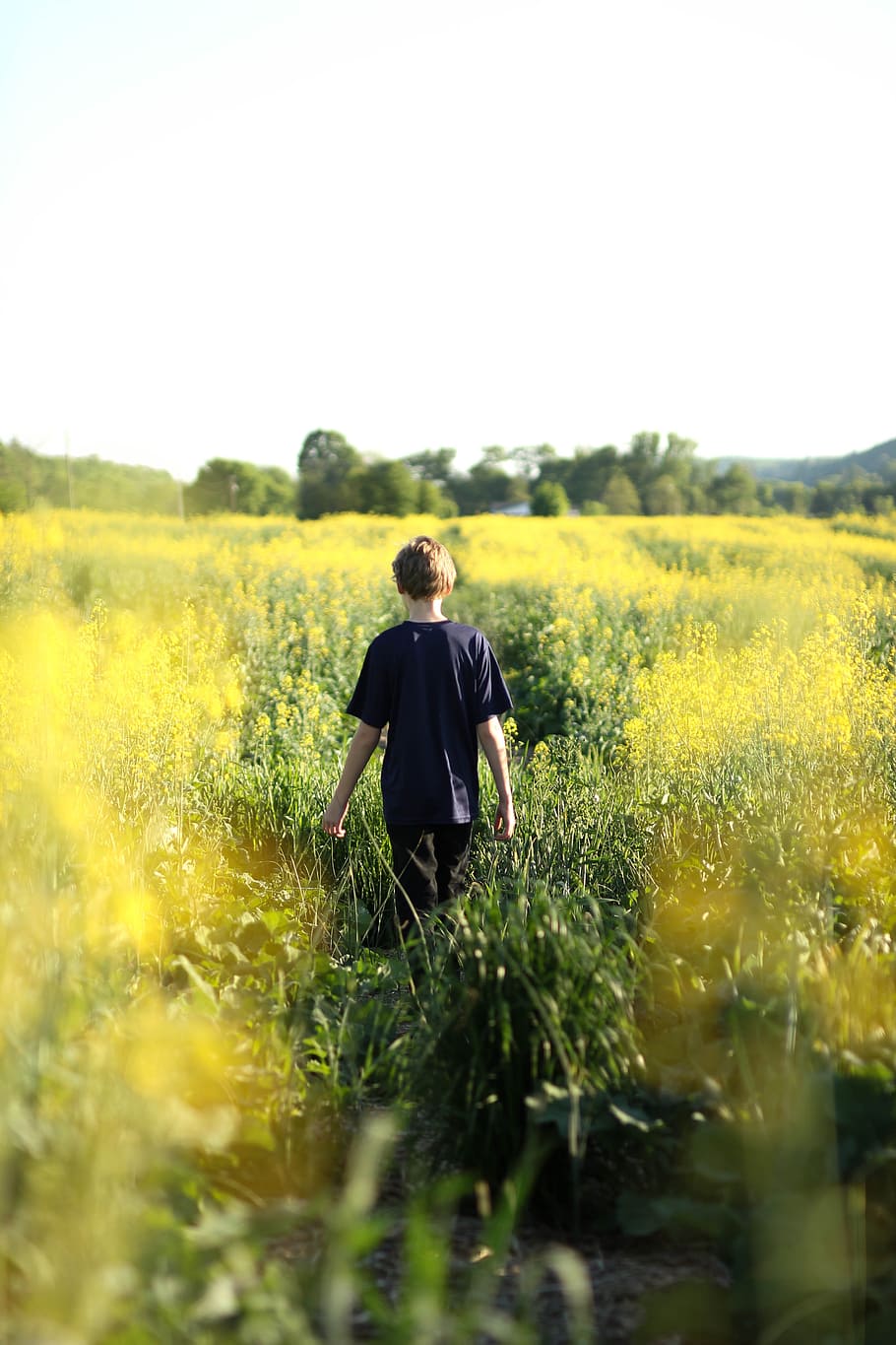 boy, countryside, field, flora, flowers, grass, landscape, nature HD wallpaper