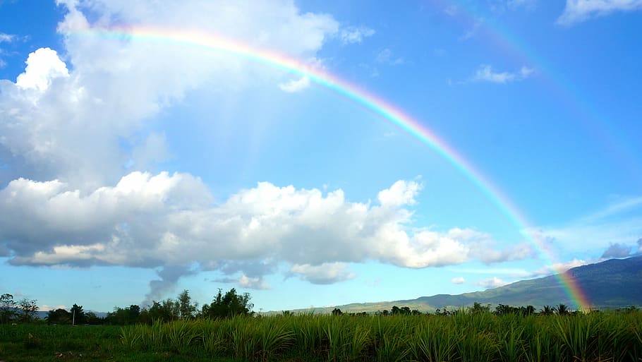 rainbow during daytime, sky, clouds, rainbow sky, blue, nature HD wallpaper