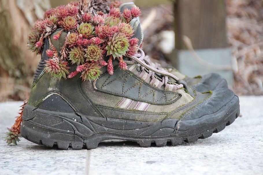 Hiking, Shoes, Planted, hiking shoes, gartendeko, stone wurz