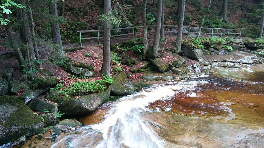 Harrachov, Forest, Water, Path, Nature, motion, day, long exposure HD wallpaper