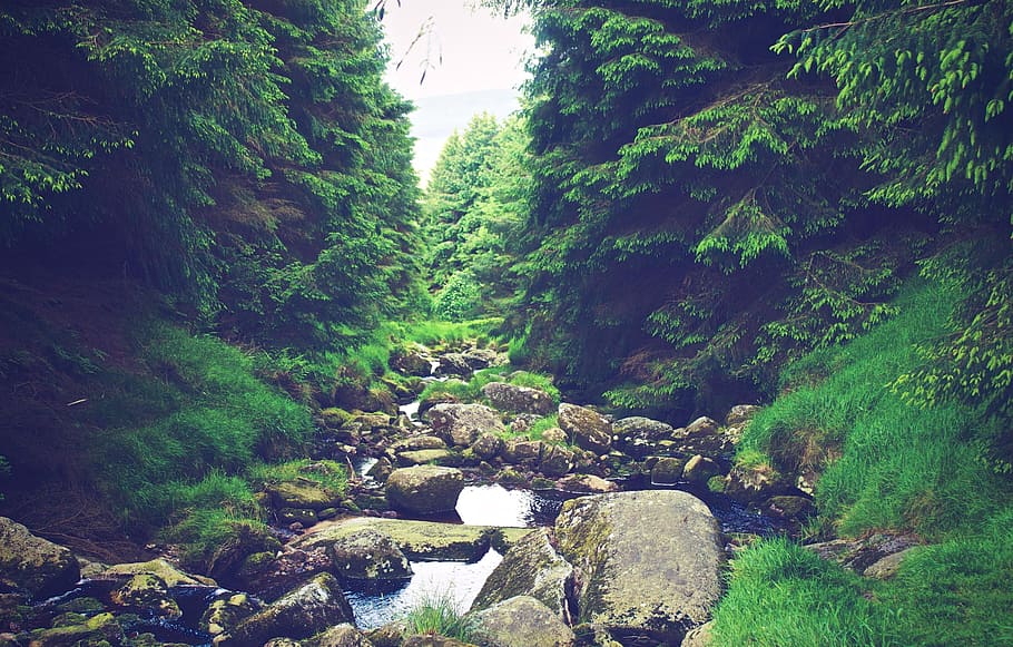 river, stream, water, rocks, hiking, trekking, outdoors, adventure HD wallpaper