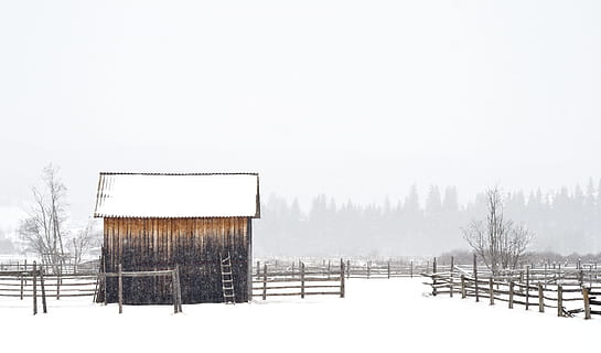 white and brown shed, brown house on snowfield during winter HD wallpaper