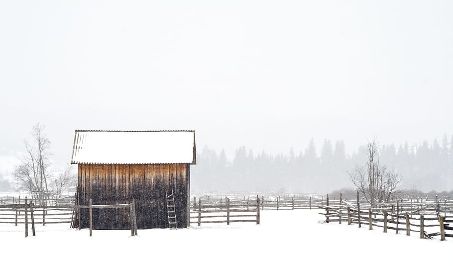white and brown shed, brown house on snowfield during winter HD wallpaper