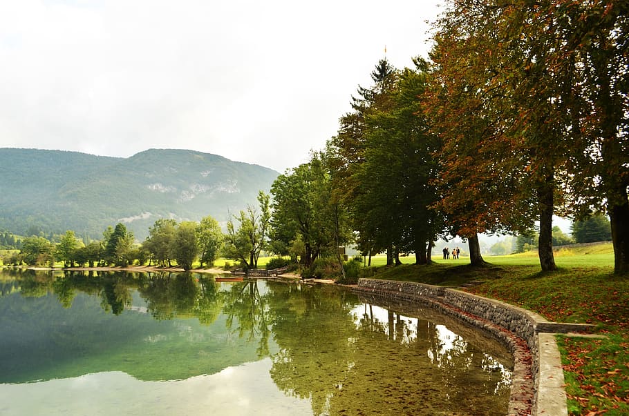 Tree, Lake, Nature, Autumn, green, forest, outdoor, leaf, environment HD wallpaper