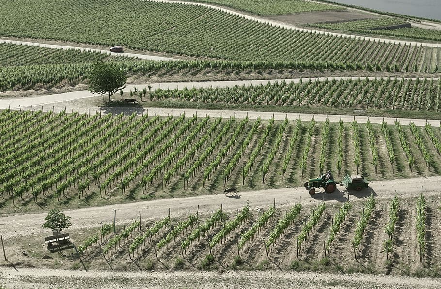 aerial view photography of farm during daytime, aerial photography of tractor moving on road near field HD wallpaper