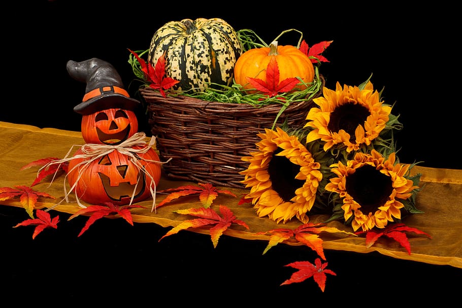 pumpkin on brown basket beside three sunflowers, autumn, black, HD wallpaper