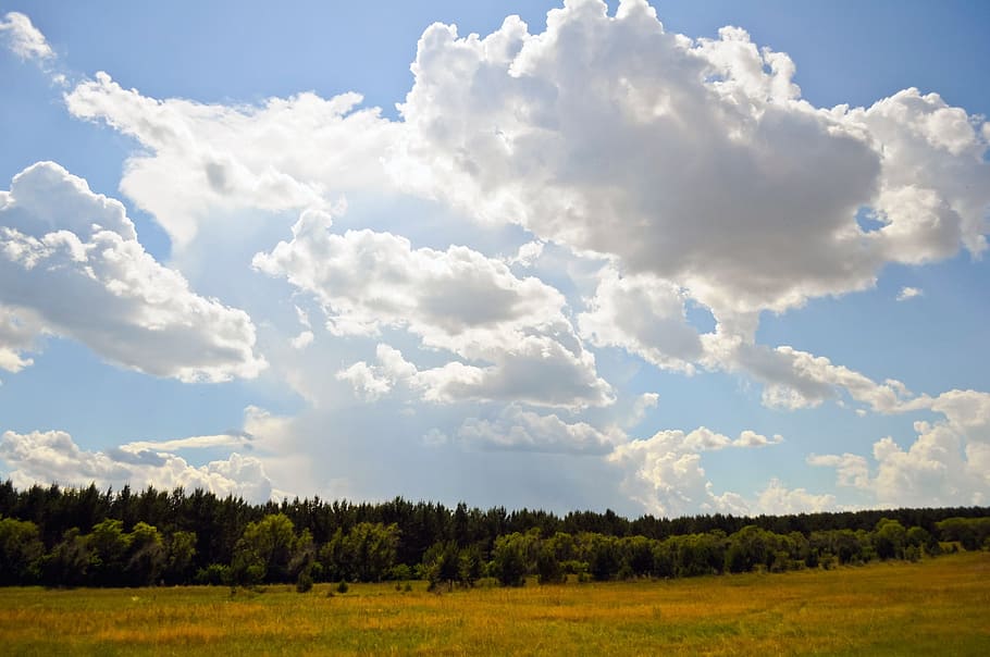 sky, clouds, summer, field, landscape, wilderness, scenery HD wallpaper