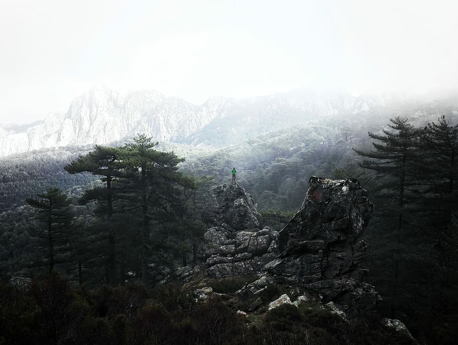 photo of rocks between trees, person standing on top of stone mountain with green trees under cloudy sky at daytime HD wallpaper