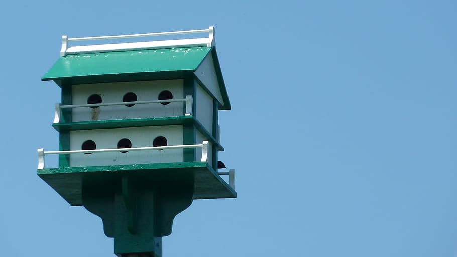 Birdhouse, Bird, Nesting, Home, box, wooden, decoration, design HD wallpaper