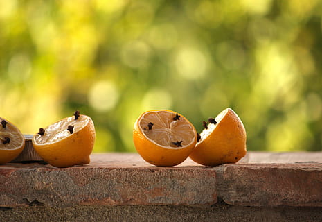 lemons, cloves, aromatic, wasps, banishment, fruit, food and drink HD wallpaper