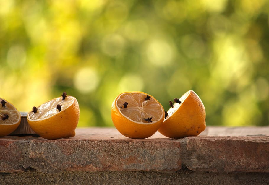 lemons, cloves, aromatic, wasps, banishment, fruit, food and drink HD wallpaper