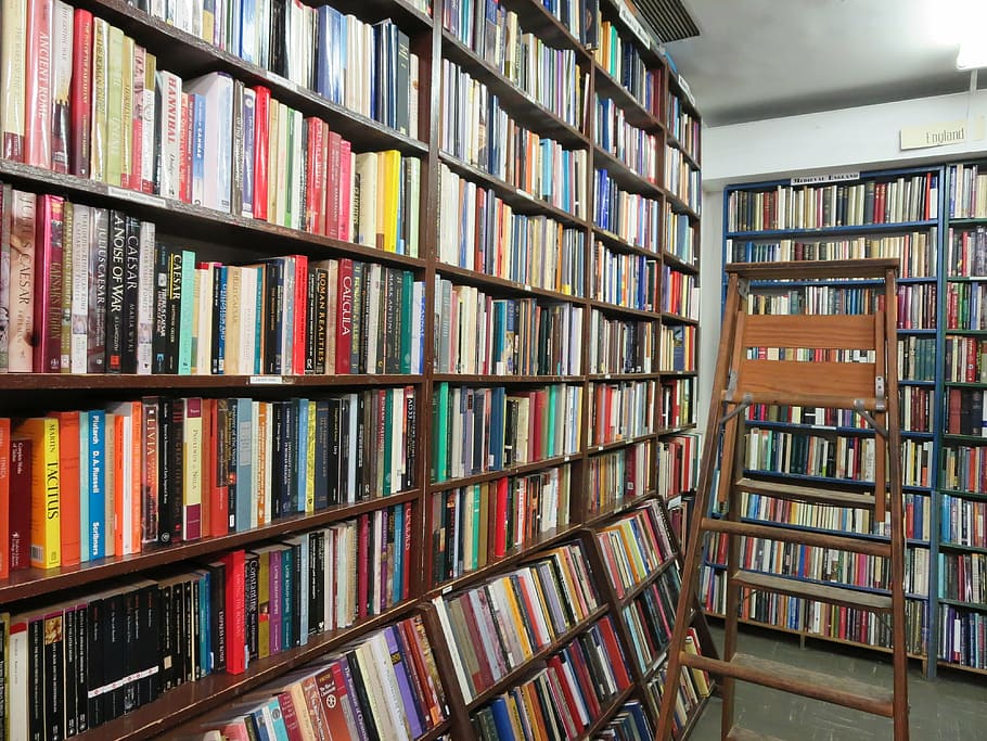 book lot on shelves near ladder, books, book store, knowledge HD wallpaper