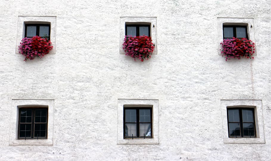 six window panes, facade, building, architecture, home, hauswand HD wallpaper