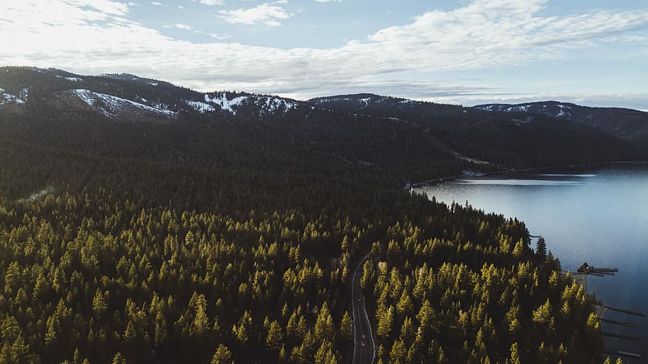 top view photography of trees near body of water, trees and body of water under blue sky HD wallpaper