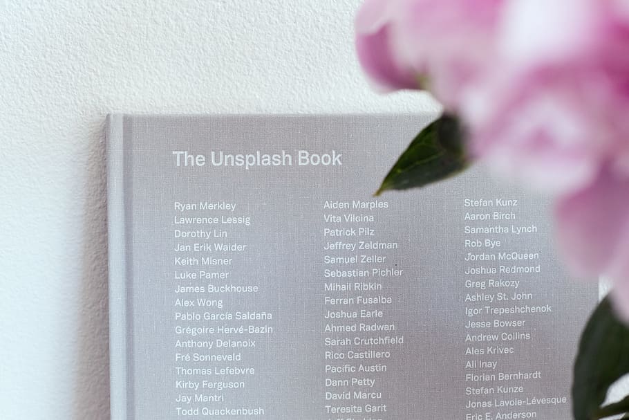 flower, petal, blur, book, unsplash, flowering plant, text HD wallpaper