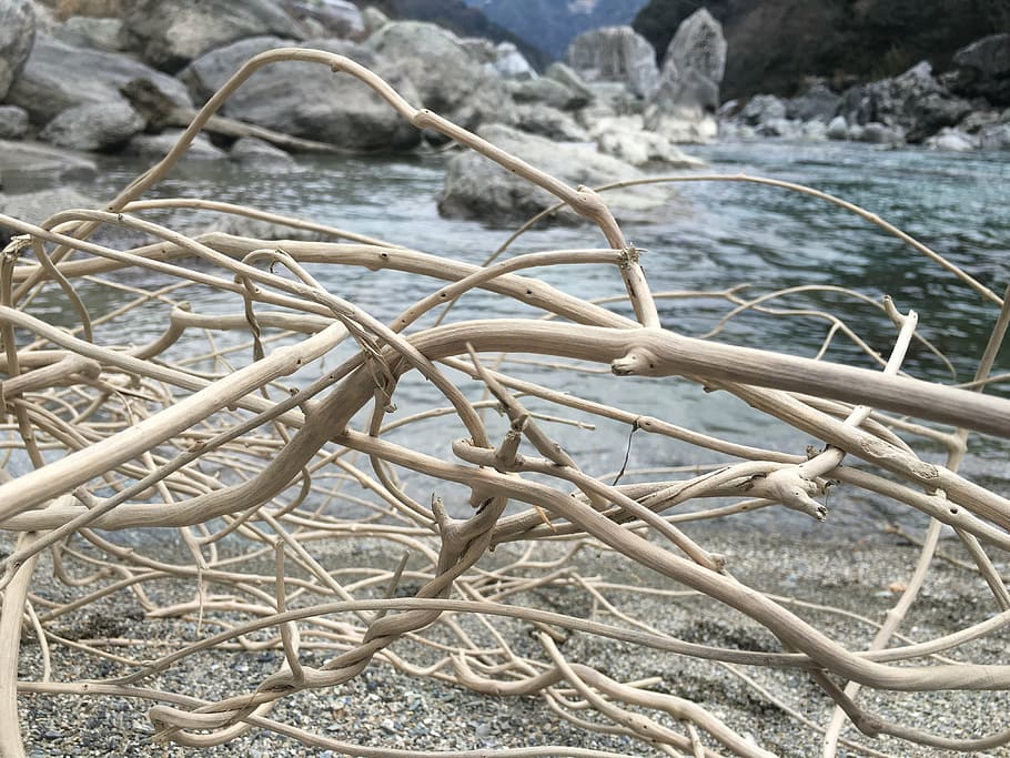 driftwood, river, dry riverbed, babble, the flow of the river HD wallpaper