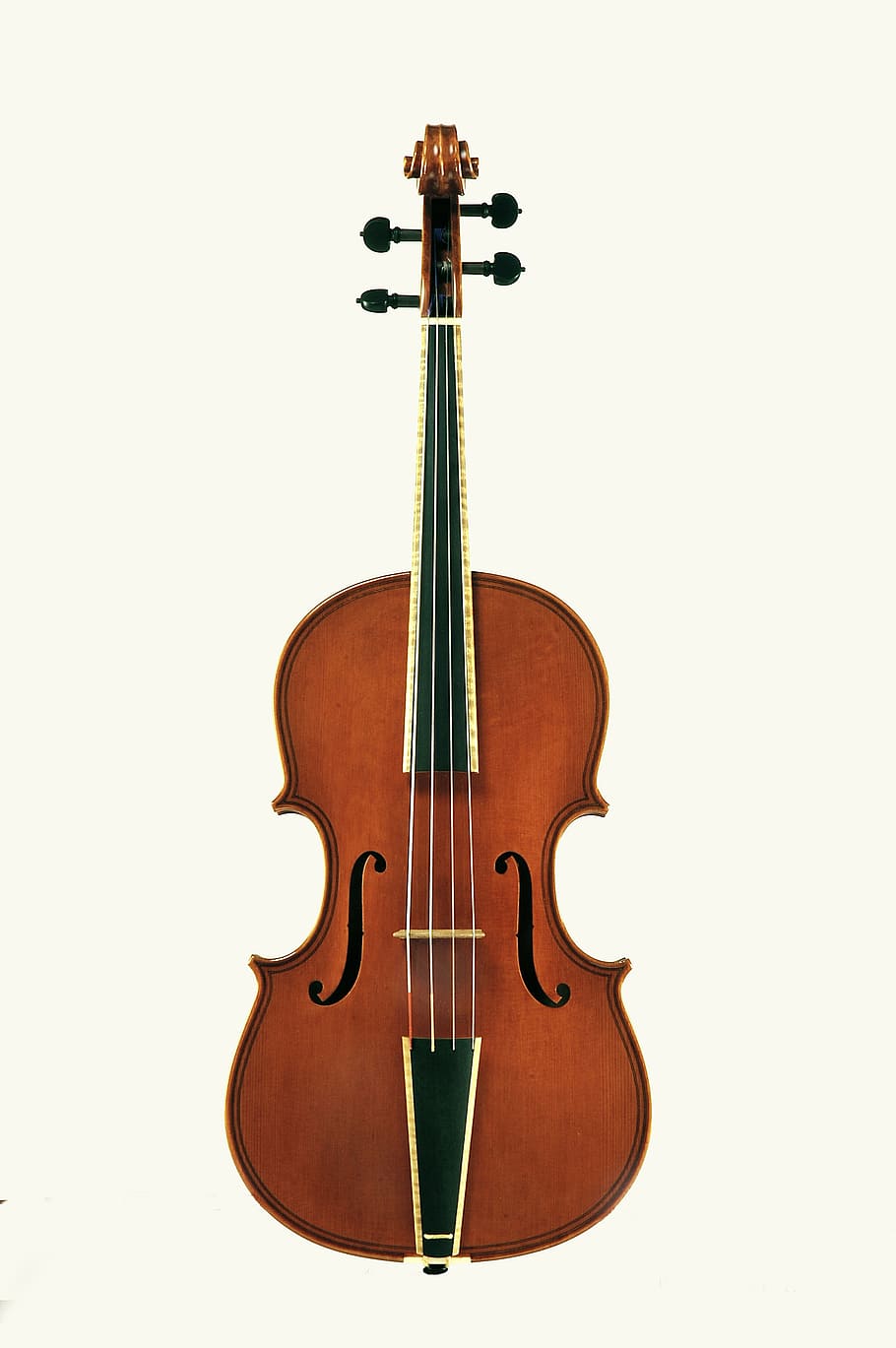 violin, stringed instruments, string instrument, musical equipment HD wallpaper
