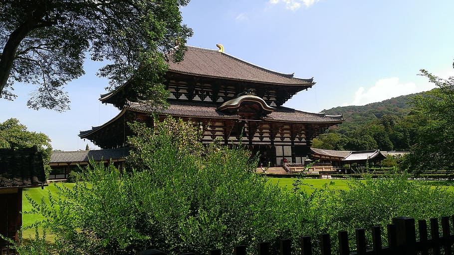 temple, construction, japan, plant, architecture, tree, built structure HD wallpaper