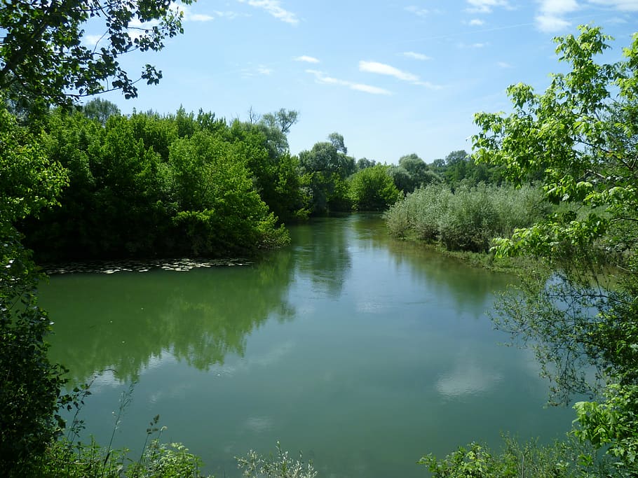 nature, forest, water, green, river, burgundy, tree, plant HD wallpaper