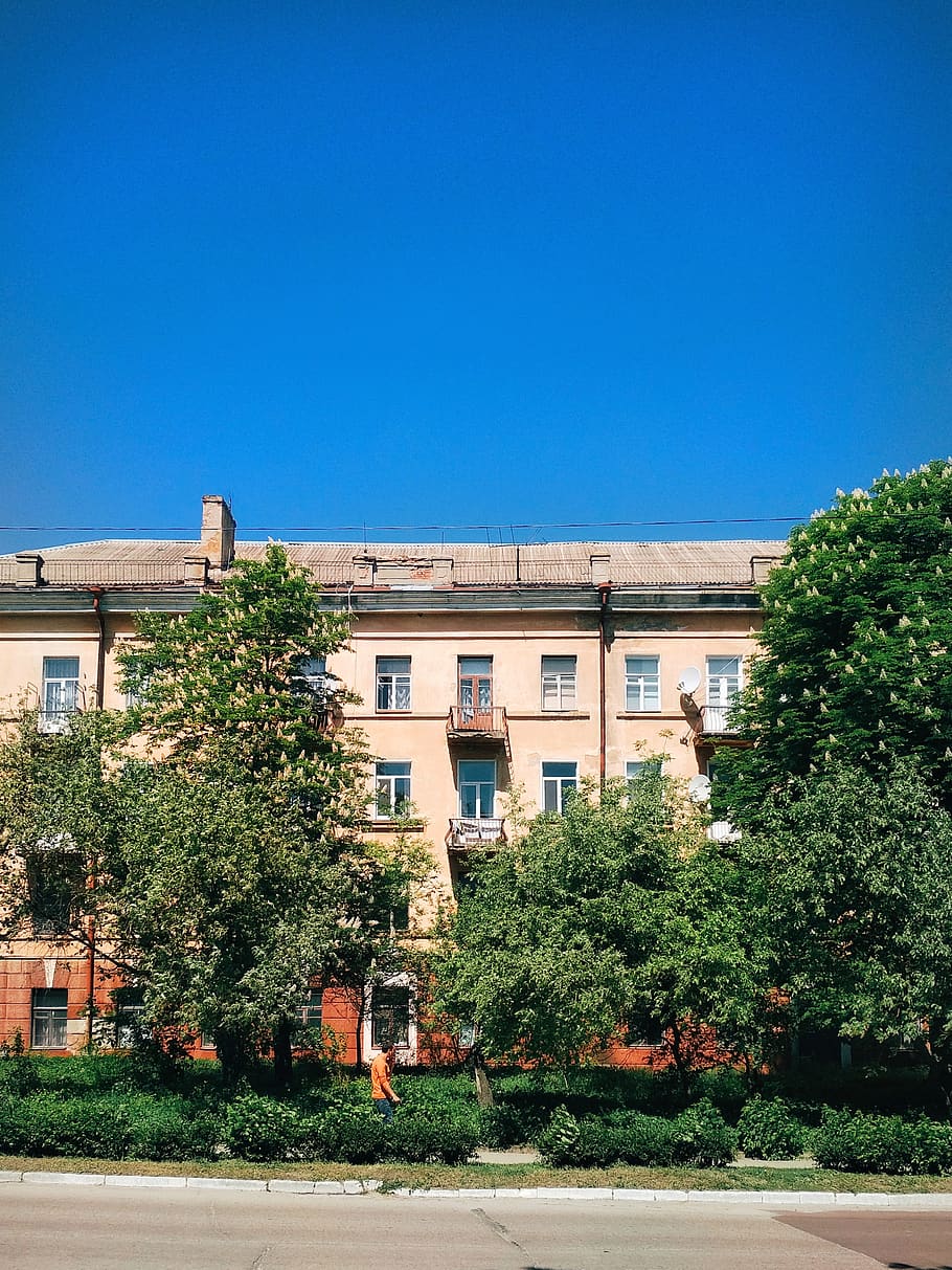 house, chestnuts, may, building exterior, architecture, plant HD wallpaper