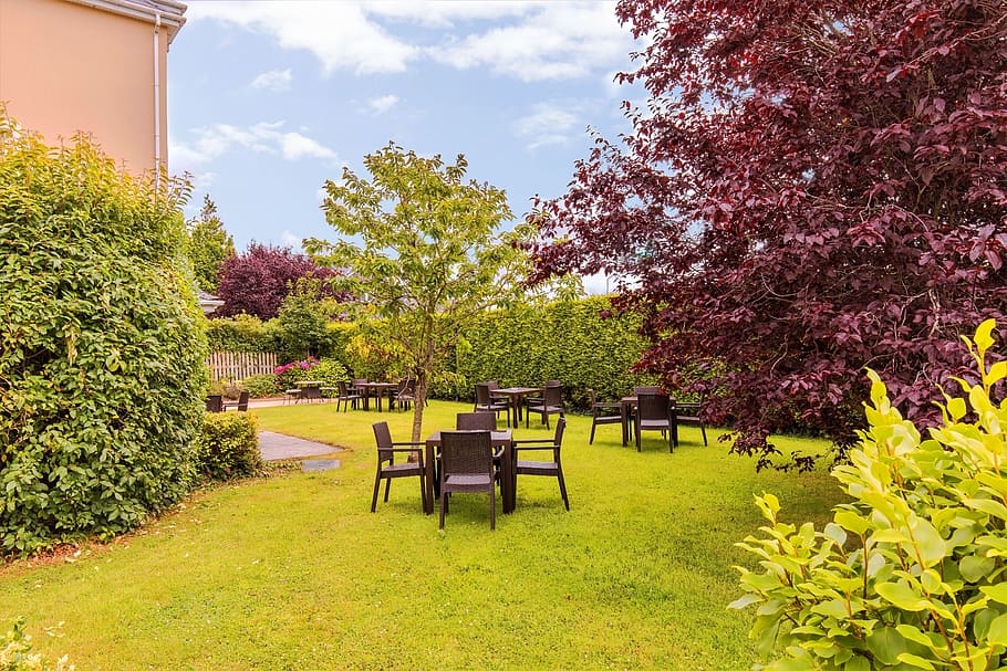 killarney, eviston, hotel, brooklodge, plant, seat, tree, nature HD wallpaper