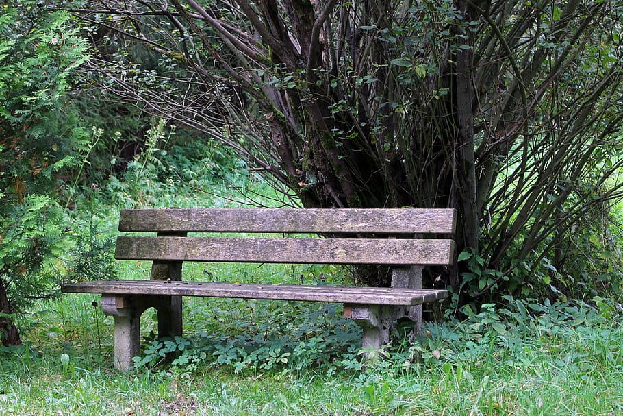 bench, bank, seat, nature, out, sit, click, rest, forest, rest pause, HD wallpaper