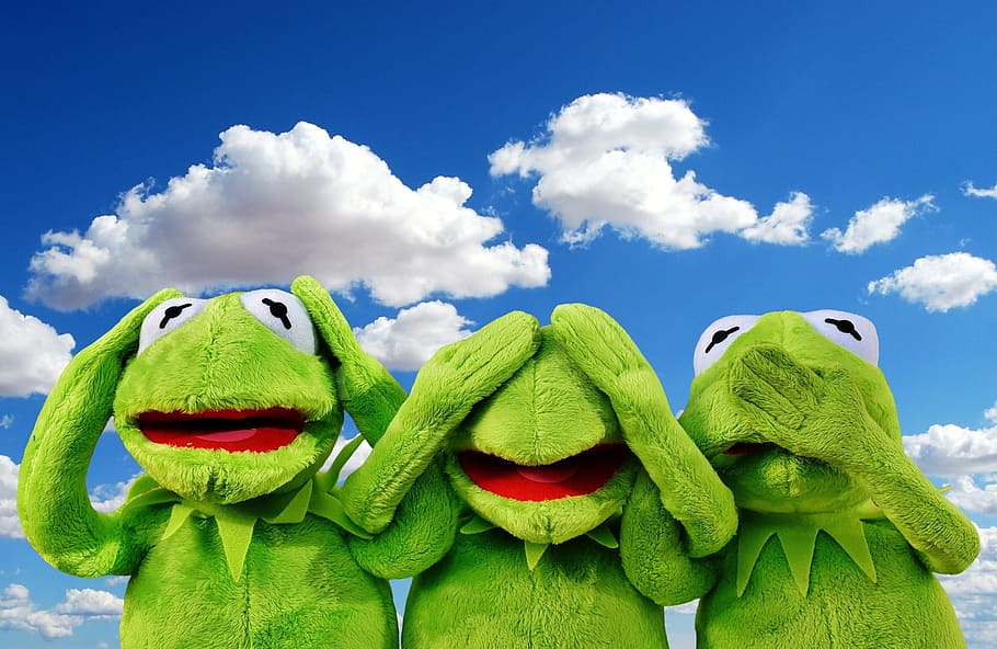 Kermit the Frog wallpaper, not hear, not see, do not speak, funny