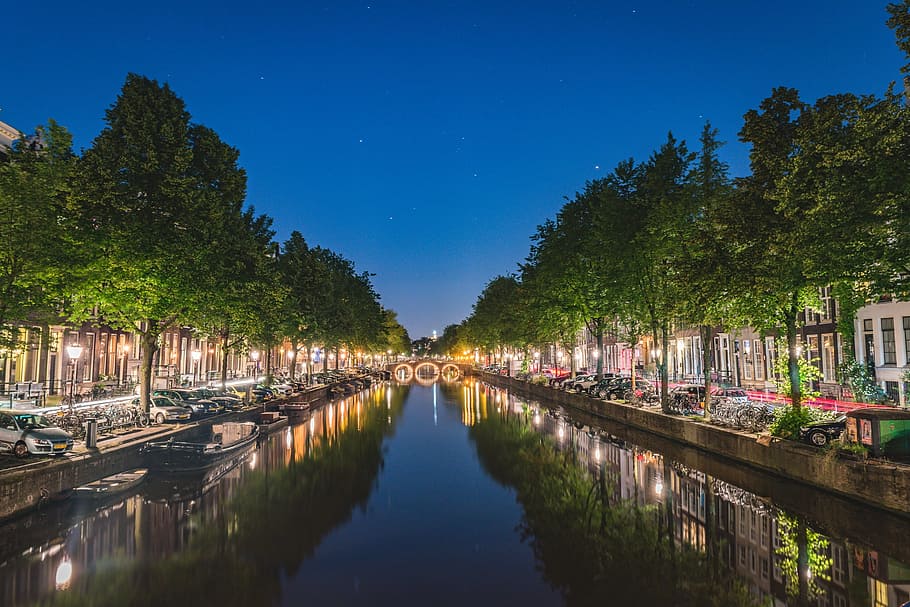 canal, water, park, trees, plant, nature, city, boat, lights HD wallpaper