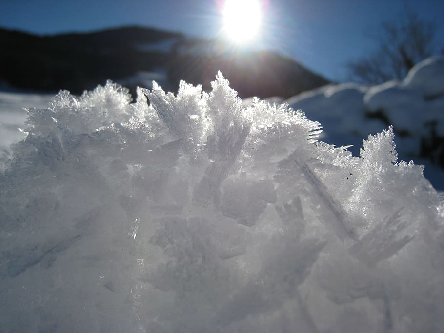 white snow in close-up photography at daytime, Winter, Sun HD wallpaper