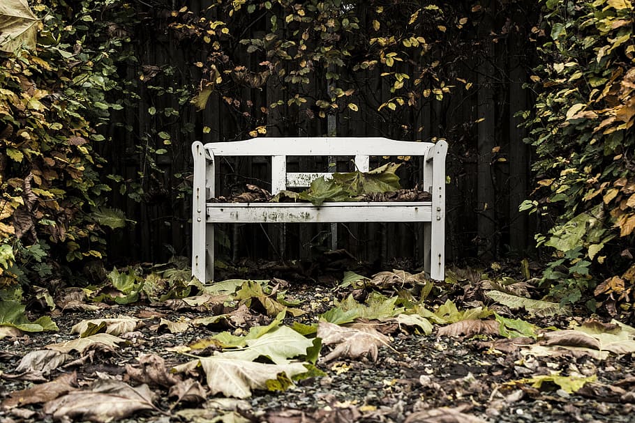 white wooden bench beside plants, trees, leaves, autumn, backyard HD wallpaper