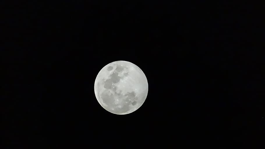 white moon, night, dark, nocturne, sky, brightness, moonlight HD wallpaper