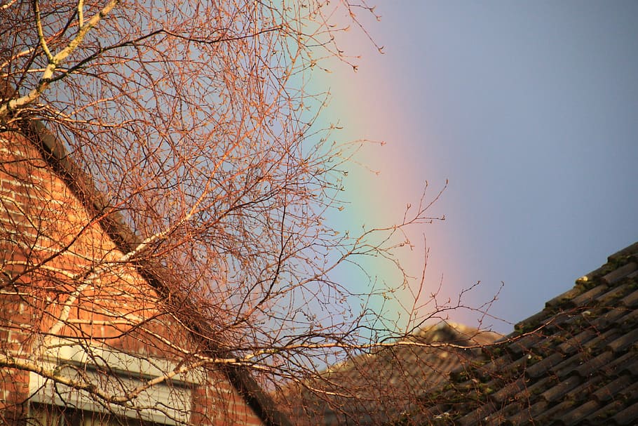 rainbow, bright, contrasts, spectrum, weather, natuschauspiel