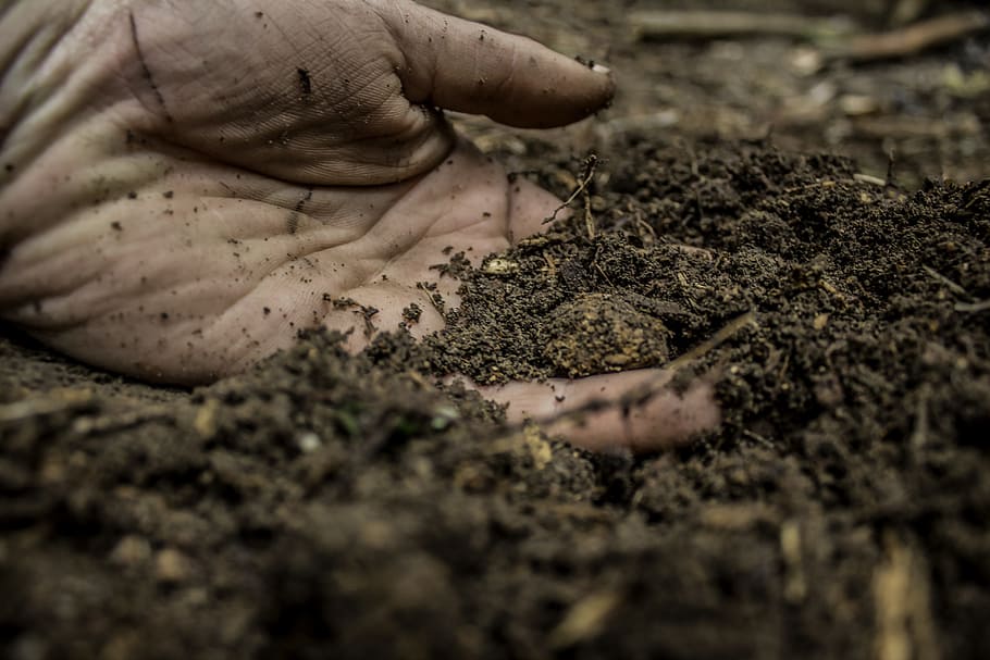 Hand, Clay, Symbol, Work, mud, agriculture, animal themes, outdoors HD wallpaper