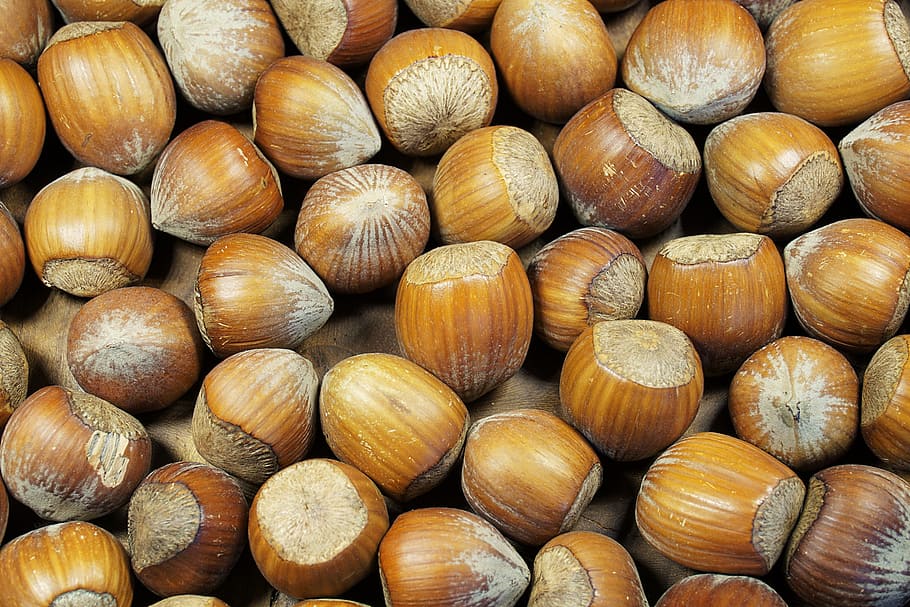 nut lot, hazelnut, shell, brown, nuts, food, tasty, eat, nutshells, HD wallpaper