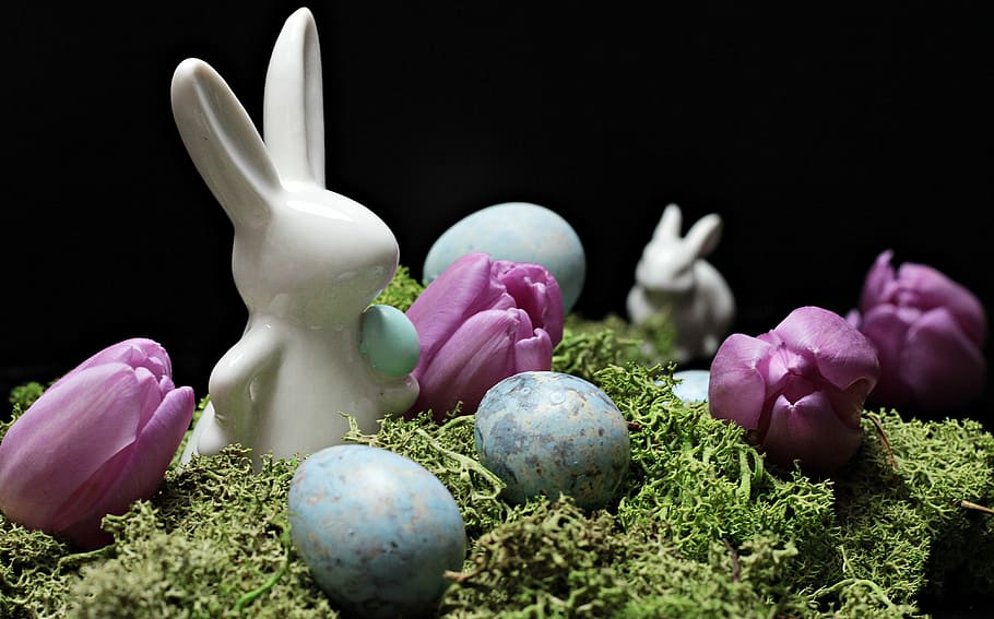 white rabbit and egg illustration, hare, easter bunny, spring HD wallpaper