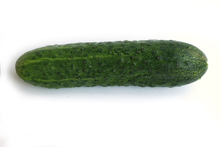 cucumber, Green, Vegetable, Fresh, long, vitamin, greens, vitamins HD wallpaper