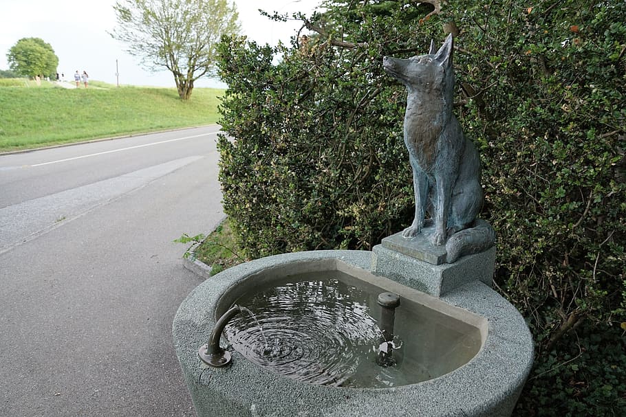 fuchs, fountain, nature, forest, park, garden, water, mood HD wallpaper