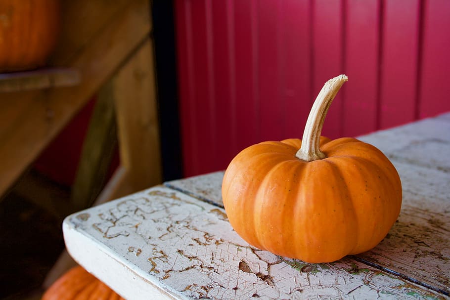 orange pumpkin on white table in pink room, orange squash on top of white table HD wallpaper