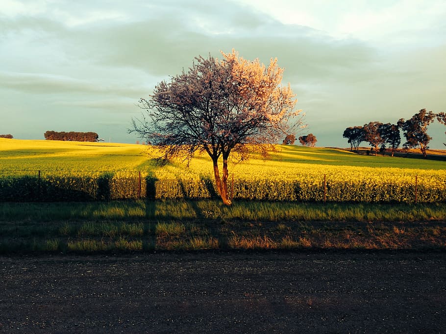 sunset, storm, sky, landscape, color, season, beautiful landscape HD wallpaper
