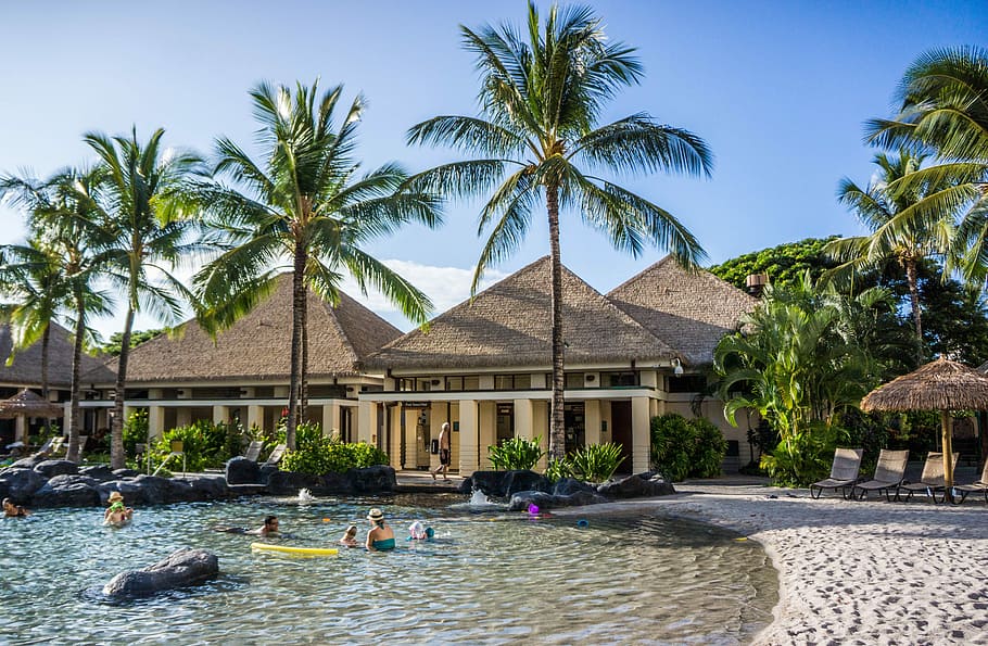 Hawaii, Oahu, Resort, Ko Olina, Marriott, pool, palm trees, HD wallpaper