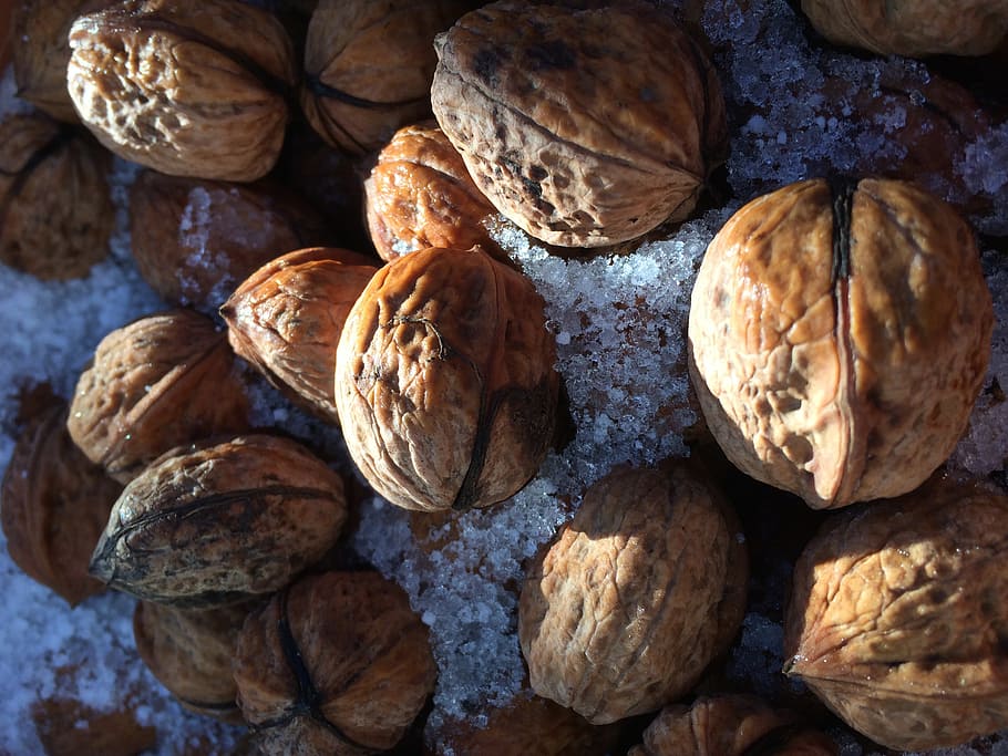 walnut, light, shadow, snow, sun, nature, shadow play, food HD wallpaper